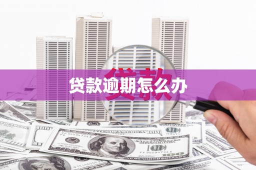 田家庵贷款逾期怎么办