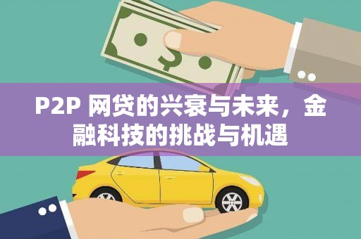 田家庵P2P 网贷的兴衰与未来，金融科技的挑战与机遇