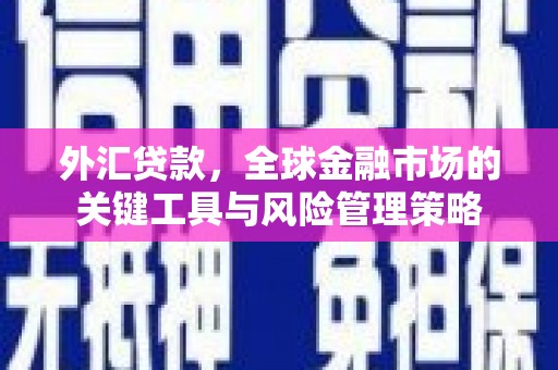 田家庵外汇贷款，全球金融市场的关键工具与风险管理策略