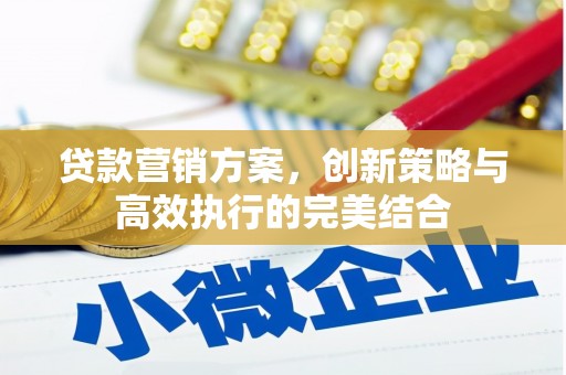 田家庵贷款营销方案，创新策略与高效执行的完美结合