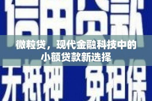 田家庵微粒贷，现代金融科技中的小额贷款新选择