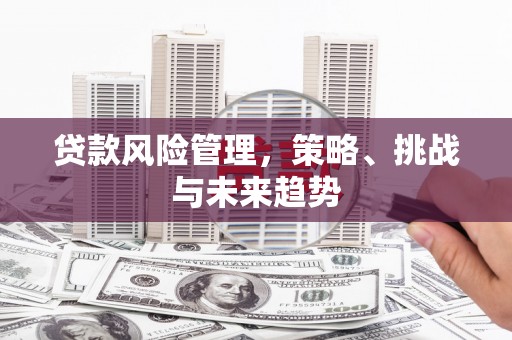 田家庵贷款风险管理，策略、挑战与未来趋势