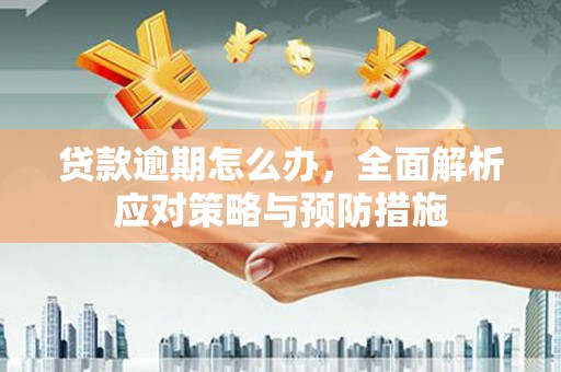 田家庵贷款逾期怎么办，全面解析应对策略与预防措施