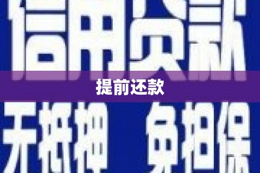 田家庵提前还款