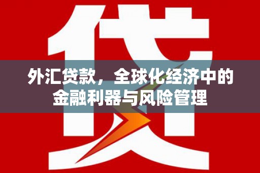 田家庵外汇贷款，全球化经济中的金融利器与风险管理
