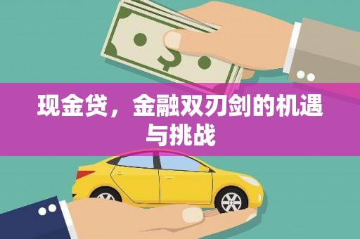田家庵现金贷，金融双刃剑的机遇与挑战