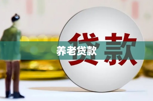 田家庵养老贷款