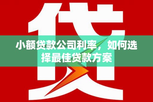 田家庵小额贷款公司利率，如何选择最佳贷款方案