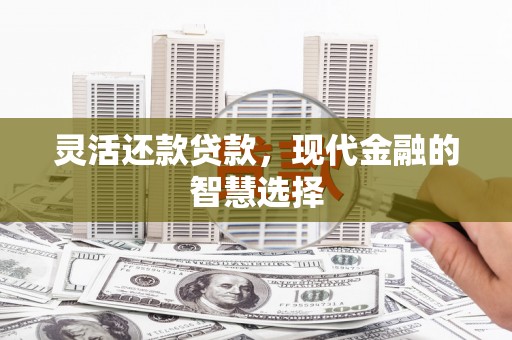 田家庵灵活还款贷款，现代金融的智慧选择