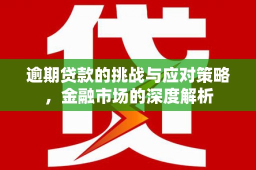 田家庵逾期贷款的挑战与应对策略，金融市场的深度解析