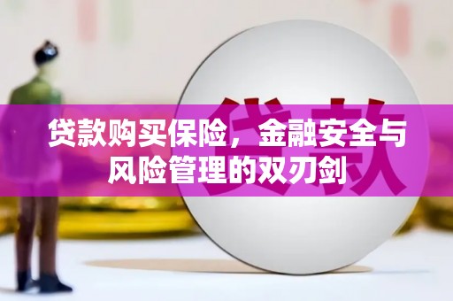 田家庵贷款购买保险，金融安全与风险管理的双刃剑