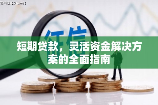 田家庵短期贷款，灵活资金解决方案的全面指南