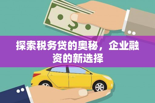 田家庵探索税务贷的奥秘，企业融资的新选择