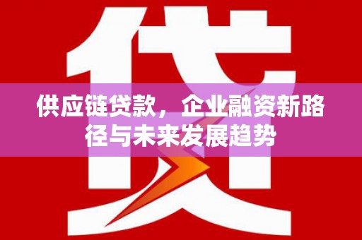 田家庵供应链贷款，企业融资新路径与未来发展趋势