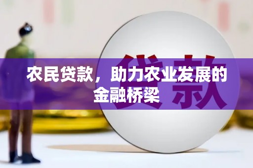 田家庵农民贷款，助力农业发展的金融桥梁