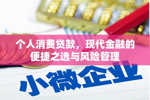 田家庵个人消费贷款，现代金融的便捷之选与风险管理