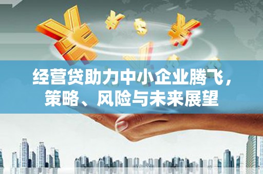 田家庵经营贷助力中小企业腾飞，策略、风险与未来展望