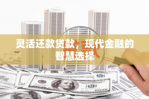 田家庵灵活还款贷款，现代金融的智慧选择