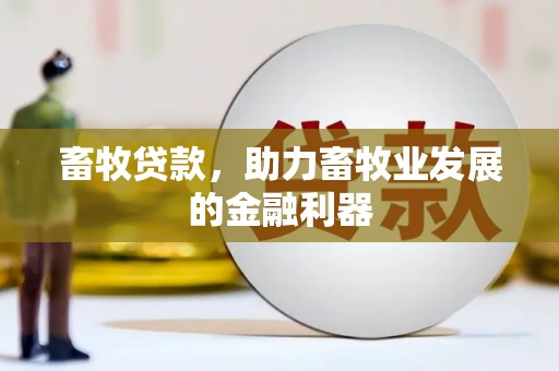 田家庵畜牧贷款，助力畜牧业发展的金融利器