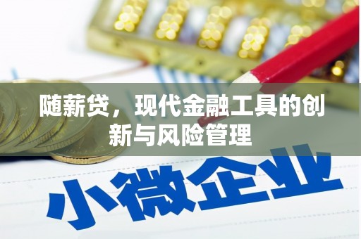 田家庵随薪贷，现代金融工具的创新与风险管理