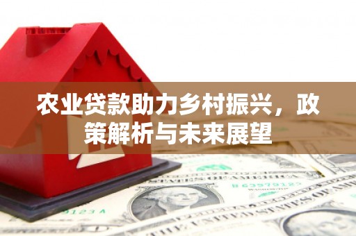 田家庵农业贷款助力乡村振兴，政策解析与未来展望
