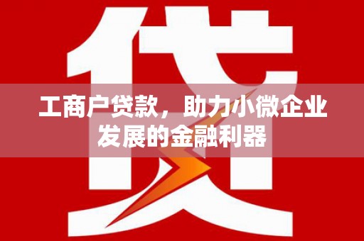 田家庵工商户贷款，助力小微企业发展的金融利器