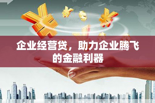 田家庵企业经营贷，助力企业腾飞的金融利器