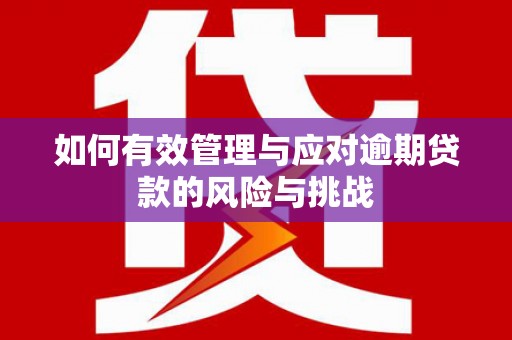 田家庵如何有效管理与应对逾期贷款的风险与挑战