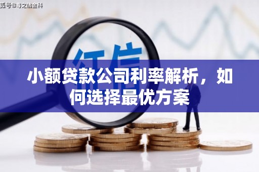 田家庵小额贷款公司利率解析，如何选择最优方案