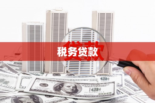 田家庵税务贷款