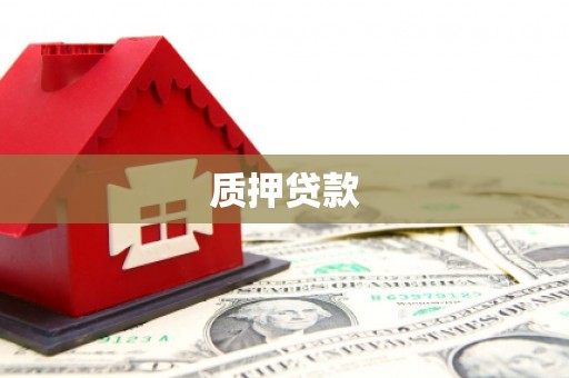 田家庵质押贷款