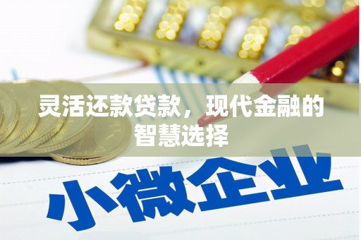 田家庵灵活还款贷款，现代金融的智慧选择