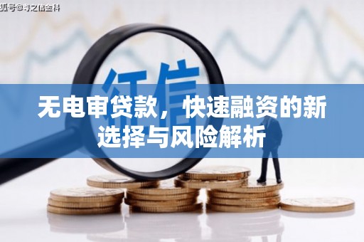 田家庵无电审贷款，快速融资的新选择与风险解析