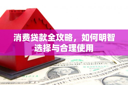 田家庵消费贷款全攻略，如何明智选择与合理使用