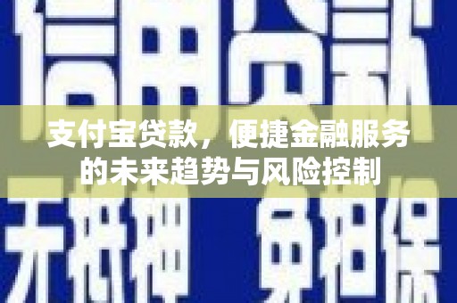 田家庵支付宝贷款，便捷金融服务的未来趋势与风险控制