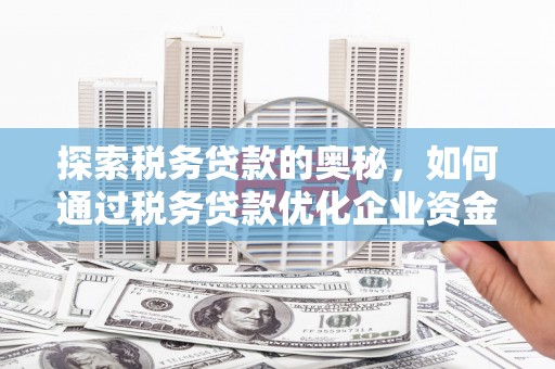 田家庵探索税务贷款的奥秘，如何通过税务贷款优化企业资金流