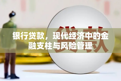 田家庵银行贷款，现代经济中的金融支柱与风险管理