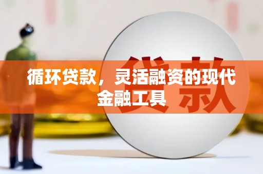田家庵循环贷款，灵活融资的现代金融工具