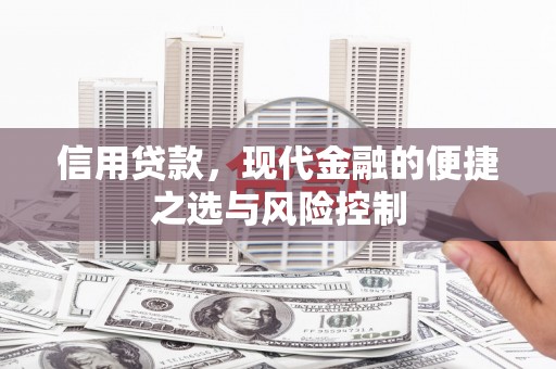 田家庵信用贷款，现代金融的便捷之选与风险控制