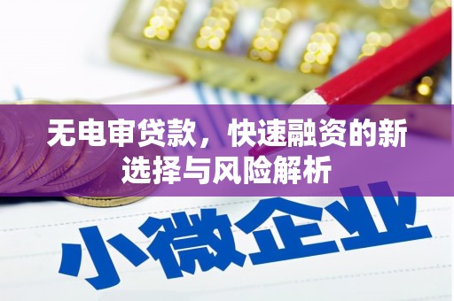 田家庵无电审贷款，快速融资的新选择与风险解析