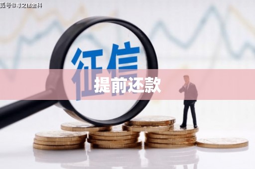 田家庵提前还款