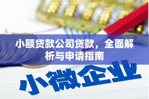 田家庵小额贷款公司贷款，全面解析与申请指南