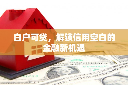 田家庵白户可贷，解锁信用空白的金融新机遇