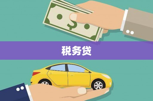 田家庵税务贷