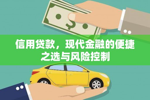 田家庵信用贷款，现代金融的便捷之选与风险控制