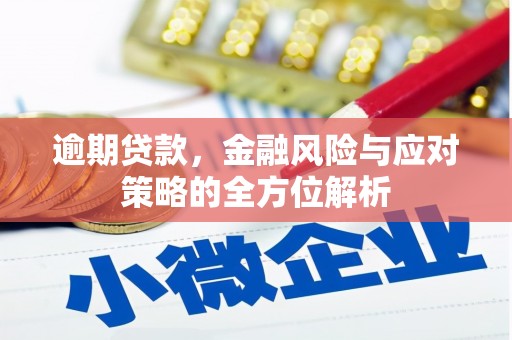 田家庵逾期贷款，金融风险与应对策略的全方位解析
