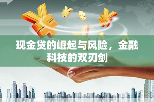 田家庵现金贷的崛起与风险，金融科技的双刃剑