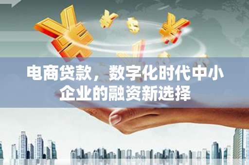 田家庵电商贷款，数字化时代中小企业的融资新选择