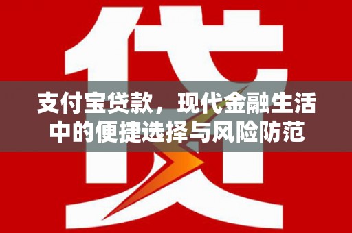 田家庵支付宝贷款，现代金融生活中的便捷选择与风险防范