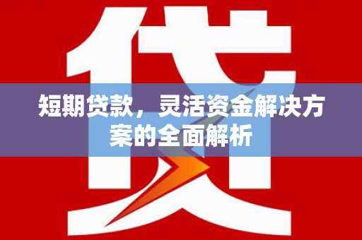田家庵短期贷款，灵活资金解决方案的全面解析